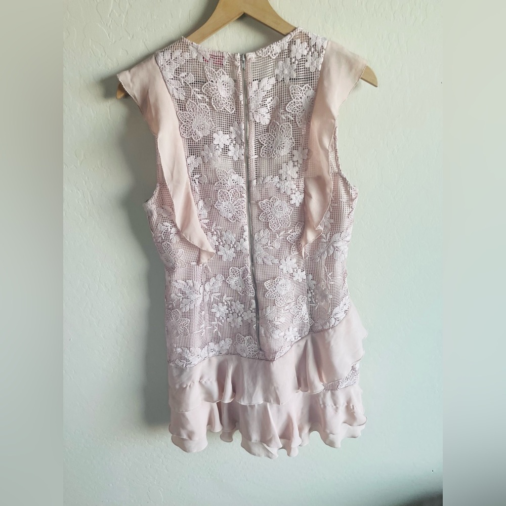 Parker Gabriel Lace Blush Ruffle Mini Dress Sz 10
Coquette Romantic Floral - Picture 7 of 8